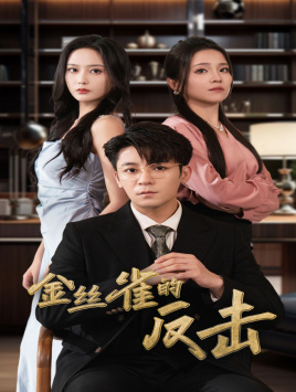 金丝雀的反击（33集）短剧中追到爽