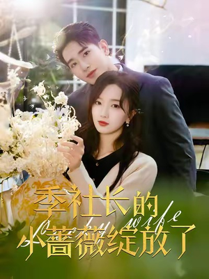 季社长的小蔷薇绽放了（60集）这部短剧太好看