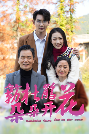 簕杜鹃花朵朵开（38集）在线看免费版