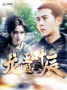 龙王殿叶辰（100集）免费短剧大全
