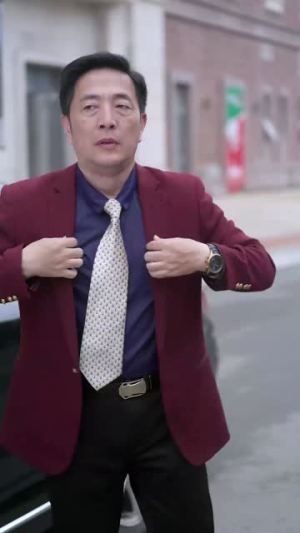 母爱的怒火（28集）热播短剧追不停
