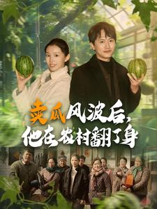 卖瓜风波后，他在农村翻了身（100集）短剧解说热门