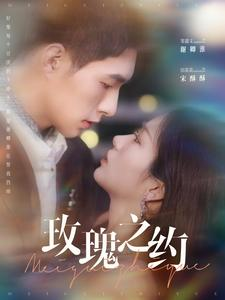 玫瑰之约（95集）在线看免费版