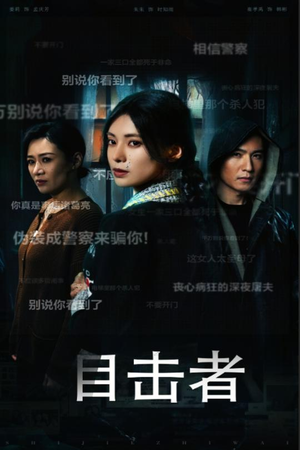 目击者（30集）热播短剧免费看