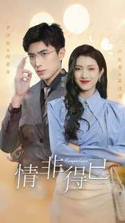 情非得已（60集）高清画质免费看