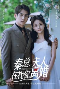 秦总，夫人在找你离婚（79集）红果短剧看全集