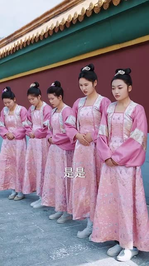 随春且看归何处（44集）全集一网打尽