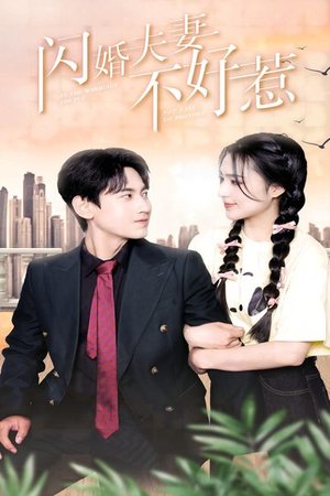 闪婚夫妻不好惹（90集）热播短剧抢先看