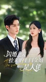 闪婚之捡来的上门女婿是大佬（79集）免费看全集