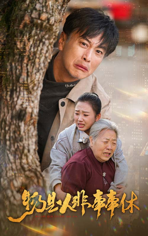 物是人非事事休（41集）火爆短剧热播中