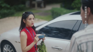 向她逆光而来（26集）高分推荐免费看