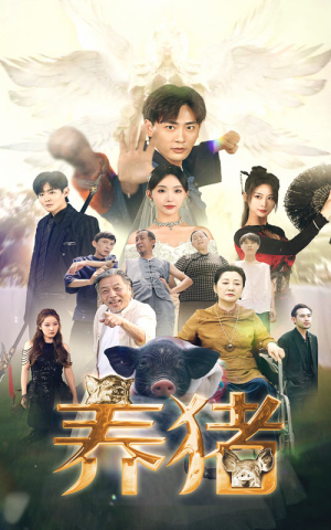 养猪（74集）上热门短剧