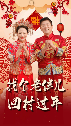 找个老伴儿回村过年（58集）海量资源免费看