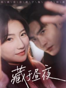 藏于昼夜（68集）免费短剧推荐