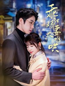 乖甜娇妻太难哄（100集）高清画质免费看
