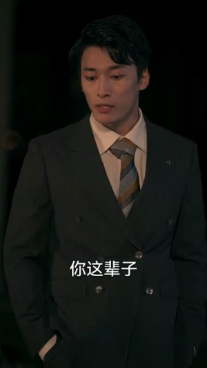 揽月拂南洲（49集）在线观看