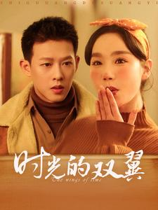时光的双翼（94集）第三季