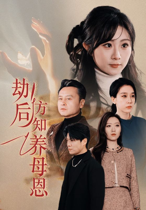 劫后方知养母恩（45集） 男主角是谁