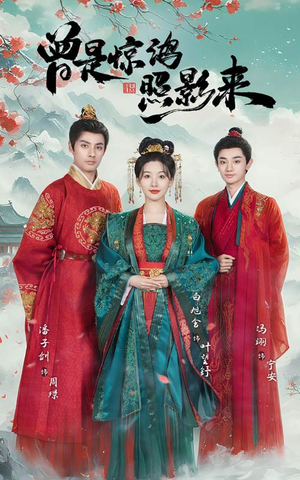 曾是惊鸿照影来（64集） 全集都在这里了
