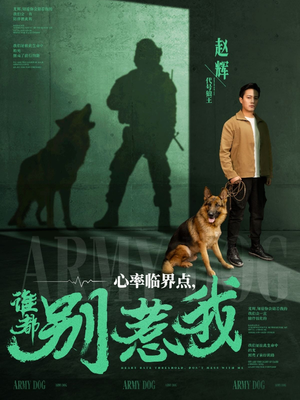 心率临界点谁都别惹我（96集） 一共多少集