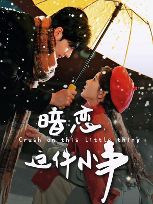 暗恋这件小事（100集） 短剧在哪里看