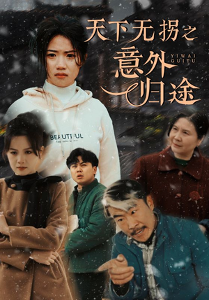 天下无拐之意外归途（61集） 河马免费短剧