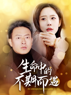 生命中的不期而遇（35集） 火爆热门短剧