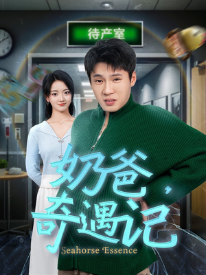 奶爸奇遇记（60集） 高分推荐免费看
