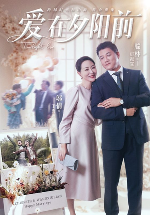 爱在夕阳前（41集） 免费观看