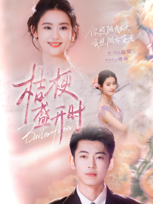 她的小桔梗（92集）在哪里可以看