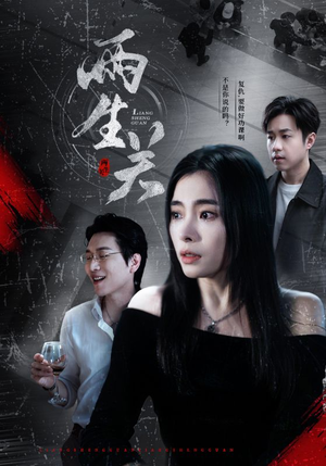 两生关（40集）第32集