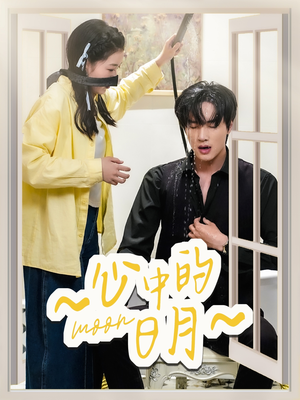 心中的日月（78集） 西瓜短剧免费看