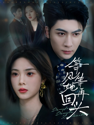 等风等她再回头（80集）口碑之选免费看
