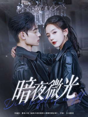 暗夜微光（86集）免费短剧看不停