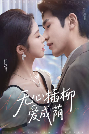 无心插柳爱成荫（80集）精彩热门短剧
