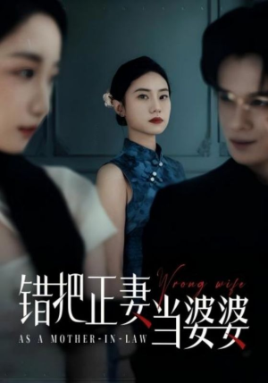 错把正妻当婆婆（46集）热门短剧抢先看