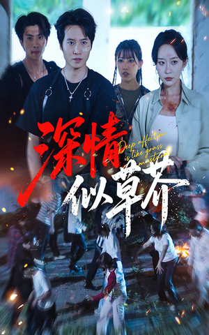 深情似草芥（51集）高清无码免费看