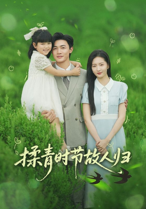 揉青时节故人归（60集）最火短剧热播