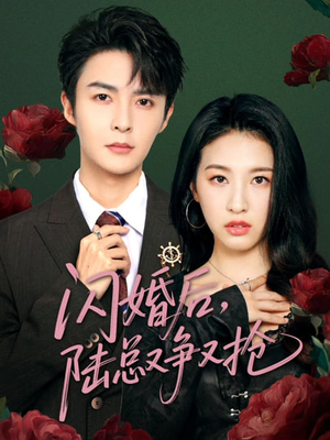 闪婚后陆总又争又抢（83集）免费看