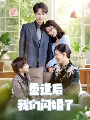 重逢后我们闪婚了（35集）全剧免费观看