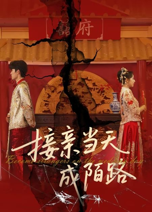 接亲当天成陌路（50集）短剧排行榜