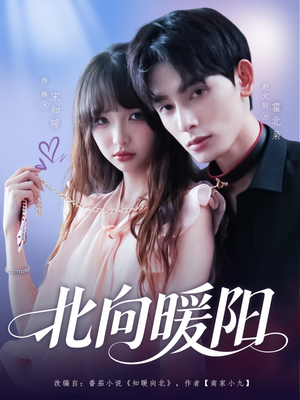 北向暖阳（80集）短剧小说在线看