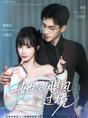 她像飓风过境(81集) 她像飓风过境(81集)哪个短剧网能看