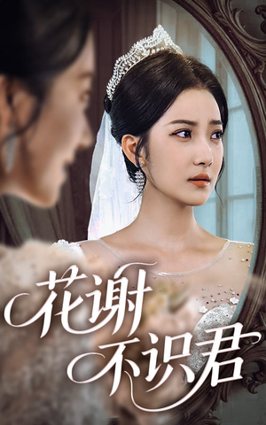 花谢不识君（40集）解说文案