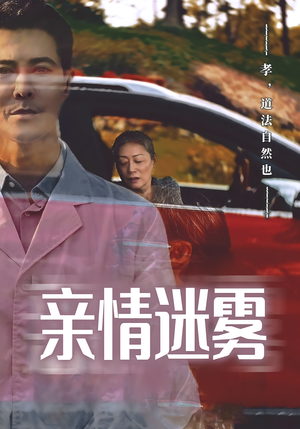 亲情迷雾（30集）女频短剧推荐