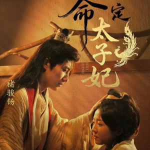 命定太子妃（63集）短剧免费观看