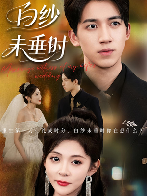 老婆婚礼，我当证婚人&老婆婚礼我当证婚人&白纱未垂时（54集）红果免费看短剧
