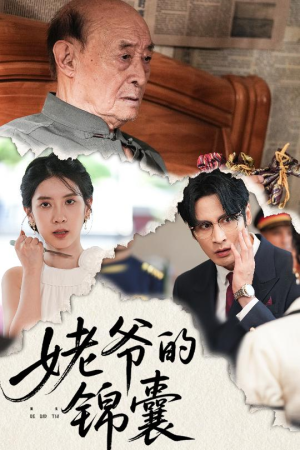姥爷的锦囊（63集）热门短剧看不停
