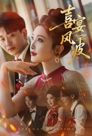 喜宴风波&替罪伴娘(30集) 喜宴风波&替罪伴娘(30集)深深爱上这部剧