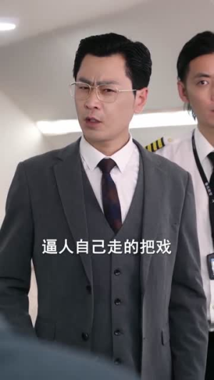 退休返聘之大夏机长(98集) 退休返聘之大夏机长(98集)直接看到大结局